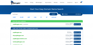 Check the Domain Name Availability