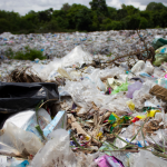 Environmental Damage Caused by Plastic and How to Reduce it