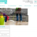 Professional Cleaners UK