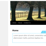 Setting margin and padding