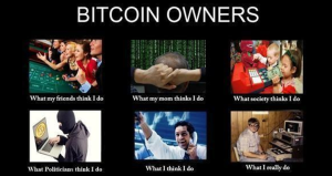 Bitcoin Owners and their Job