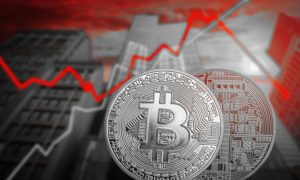 cost of single bee crypto