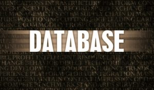  digital tools to make employee management easier - Employee Database Software