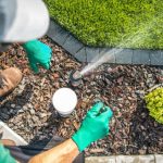 how to avoid damaging your lawn or yard – do proper Watering