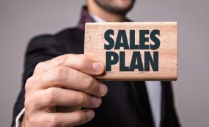 Establish Your Sales Plan