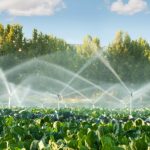 Why Is the Need for Smart Irrigation Systems Growing