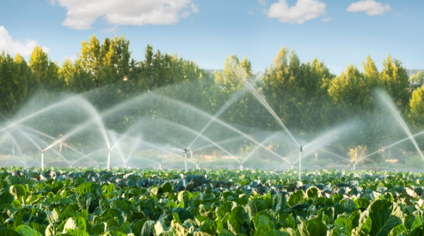 Why Is the Need for Smart Irrigation Systems Growing