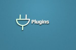 Myriads of Themes and Plugins
