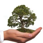 Why Businesses Should Adopt Sustainable Practices
