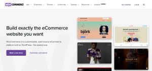 Woocommerce Store For WordPress