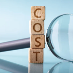 Not Considering Maintenance and Support Costs