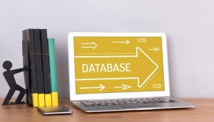 Why Is Customer Database So Important