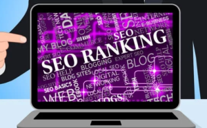 Trust in search engine rankings
