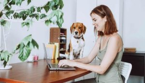 Make The Farewell Party A Surprise