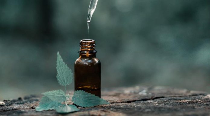 The Best Fragrance Oils for Christmas