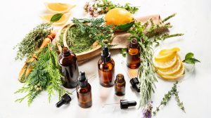 The Best Fragrance Oils for Christmas - Pine