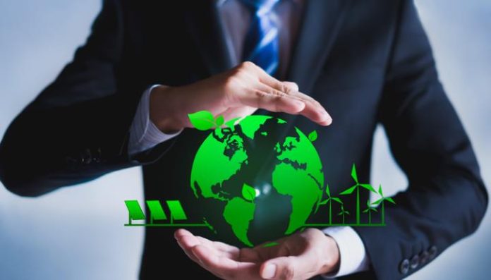 3 Ways Your Business Can Become More Environmentally Friendly in 2023