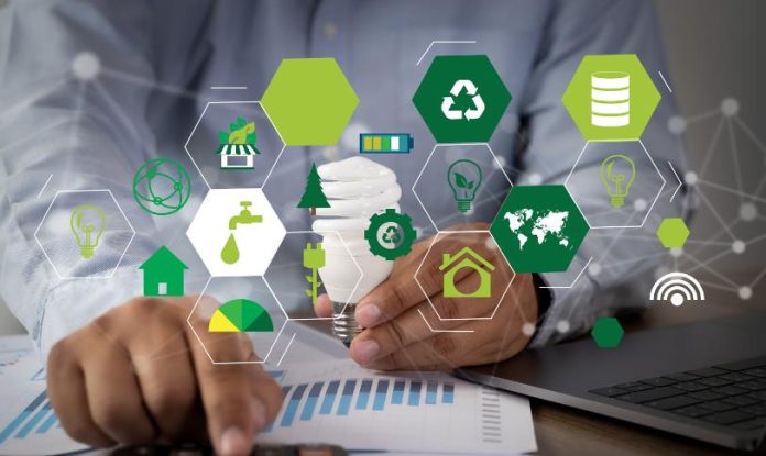 4 Strategies For Transforming Your Business For A Sustainable Future