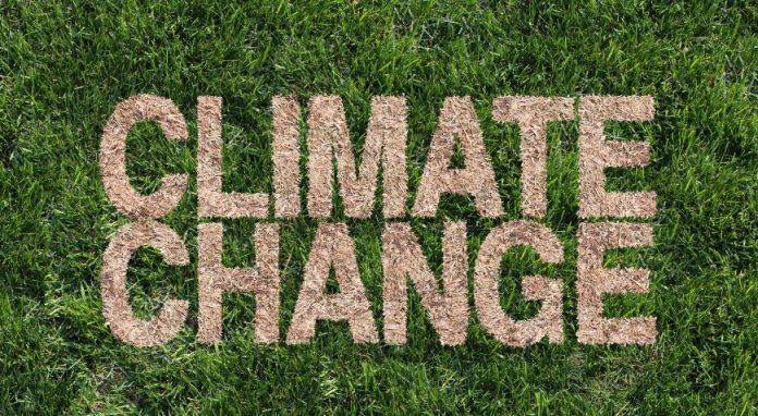 How To Inspire Better Climate Change Action Within Your Organisation