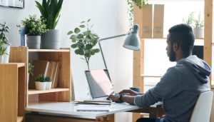 Offer Remote Working Opportunities