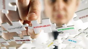 Sustainable Future of a company