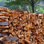 Implementing Pest Control Measures to Prevent Infestations