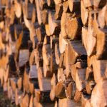 Understanding the Importance of Proper Firewood Storage