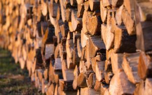 Understanding the Importance of Proper Firewood Storage