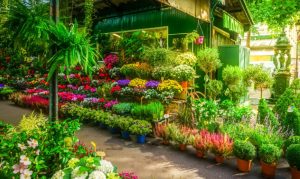 Columbia Road Flower Market