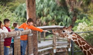 Explore the London Zoo