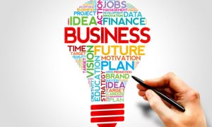 Katie Price's Business Ventures