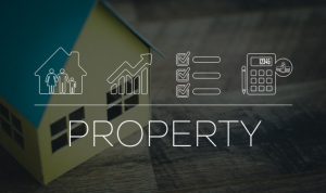 Messi's assets and properties