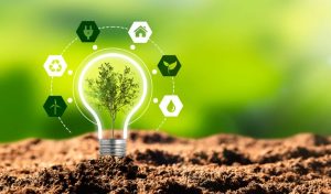 Types of Energy Suppliers