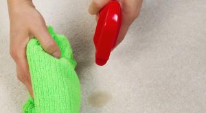 Following Care and Cleaning Steps