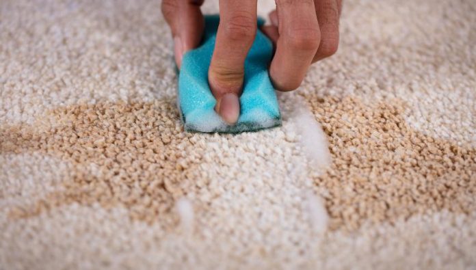 How to Remove Carpet Stains Using White Vinegar and Baking Soda