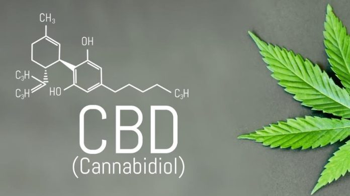 The Rise of CBD Startups The Rise of CBD Startups