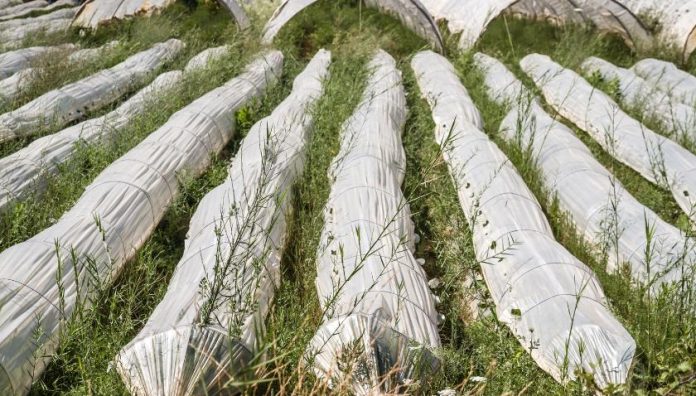 Transforming Your Farming Operations with High-Density Horticultural Polythene