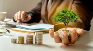 Looking for investment too soon