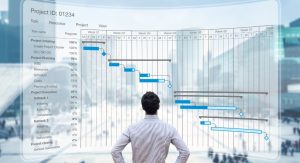 Implement Robust Project Management Systems