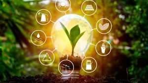 What is Sustainable Lighting Manufacturing