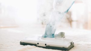 Hot Water Extraction (Steam Cleaning)