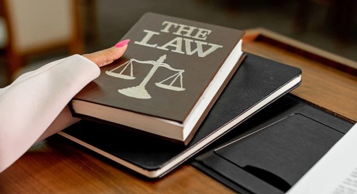 Chapter 12 of The Power Law