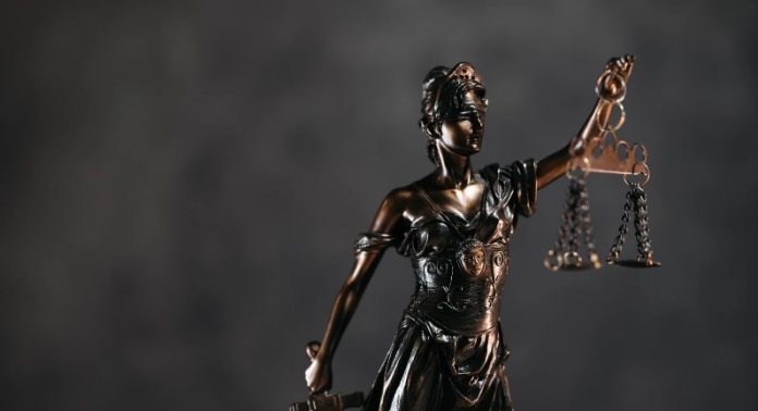 The Power Law The Power Law