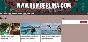 What is www.numberlina.com?