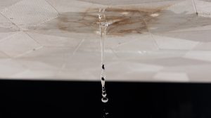 How Ignoring Water Leaks Could Cost Business Owners