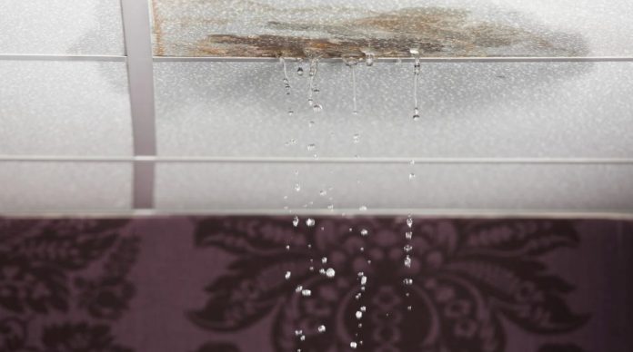 How Ignoring Water Leaks Could Cost Business Owners and CEOs Big-Time How Ignoring Water Leaks Could Cost Business Owners and CEOs Big-Time?