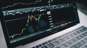 What Are Dividend Stocks, and Why Are They Important for Investors