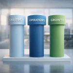 What Is Pedrovazpaulo Business Consultant and What Do They Offer