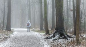 What is the DWP Cold Weather Payments