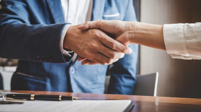 Power Law Investment Stories